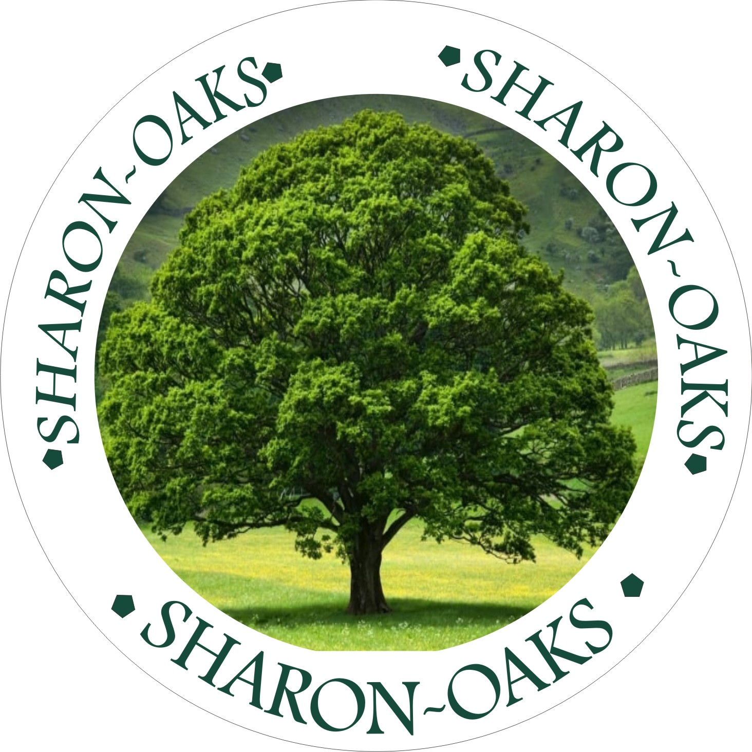 Sharon-Oaks Ng